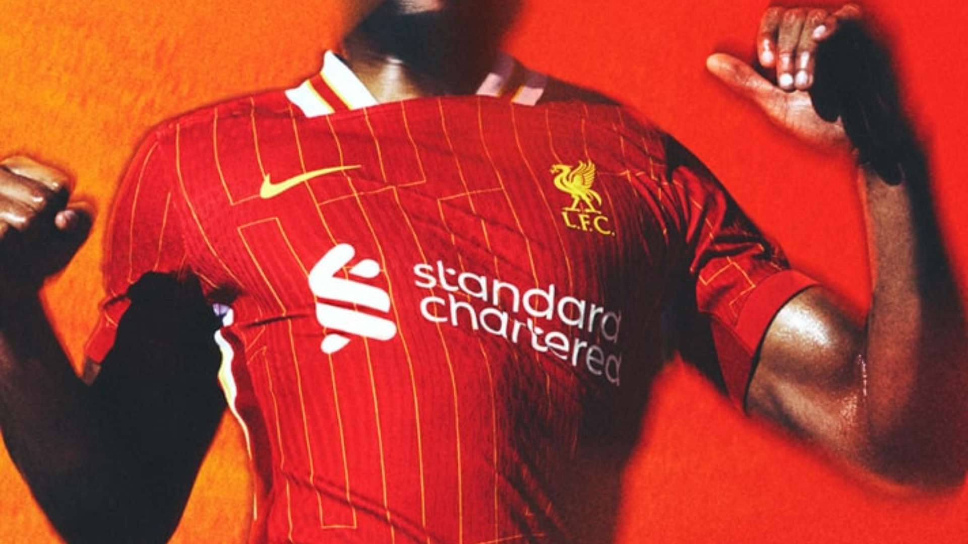 的粉丝也能 的粉丝也能